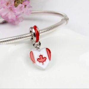 National Flag Enamel Pendant Beads Charm NWOT